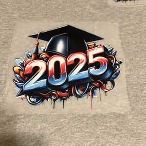 Gray 2025 Graduation Graphic Tee